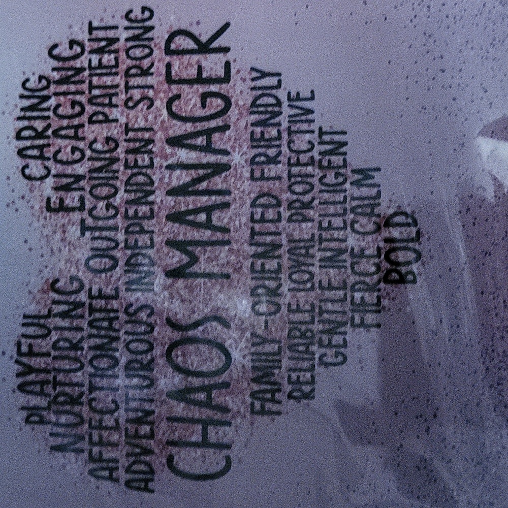 New Chaos Manager Decorative Plaque - Picture 7 of 10